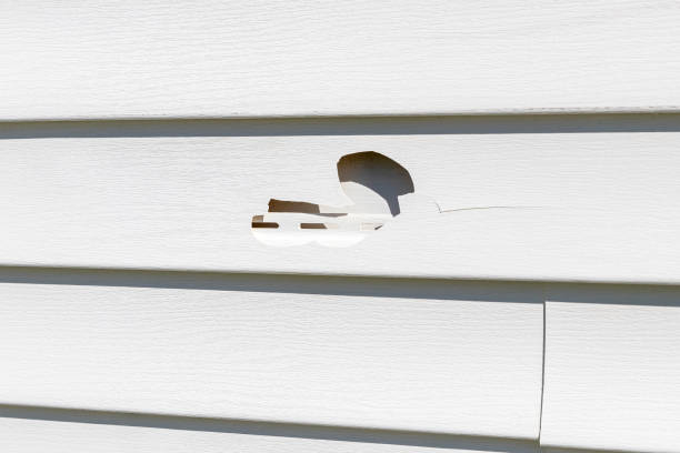 Affordable siding repair and maintenance services in Rogers, MN